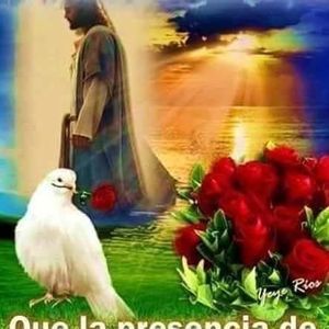 Meet your Posher, Jenny